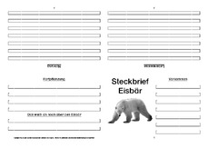 Eisbär-Faltbuch-vierseitig-8.pdf